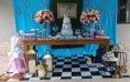 /album/galeria-de-fotos-menu-de-opcoes/alice-jpg/